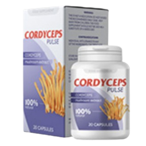 Cordyceps