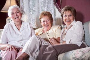 Artodip allegro, ceneo - Polska