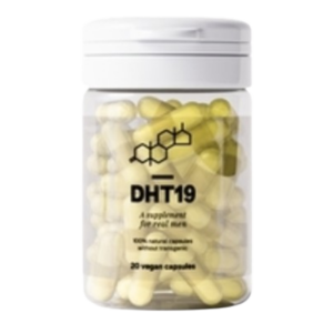 DHT19